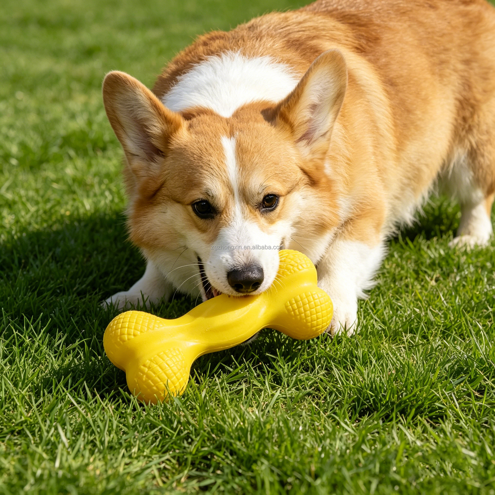 Interactive Dog Training Toy EVA Foam Pull Ring Ball with Rope Floating Waterproof Flying Disc Teething Chew Toy for Small Dogs