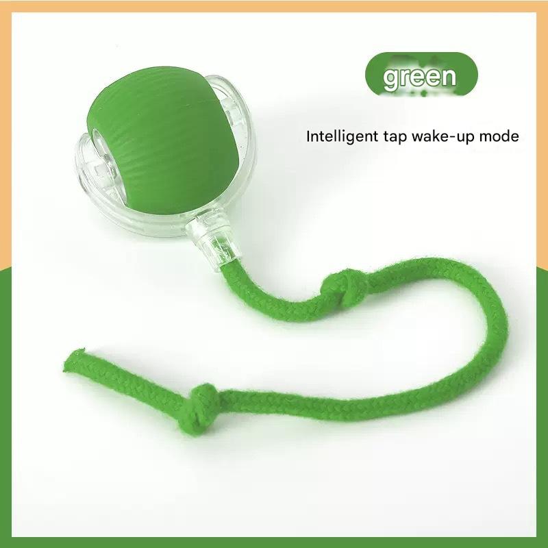 Pet Interactive Toy