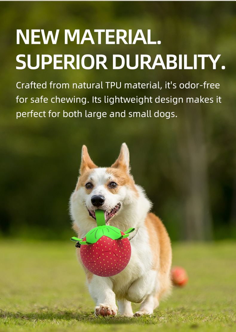 Waterproof Floating PU Eco-friendly Dog Ball Solid Pattern Pool Water Play Fetch Adventures Pet Soccer