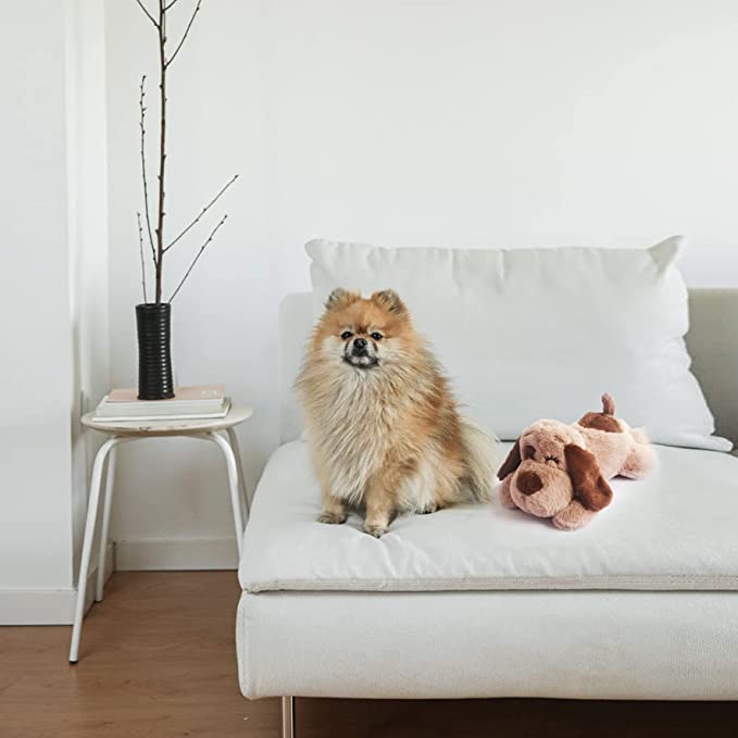 Dog Toy Showcase 2