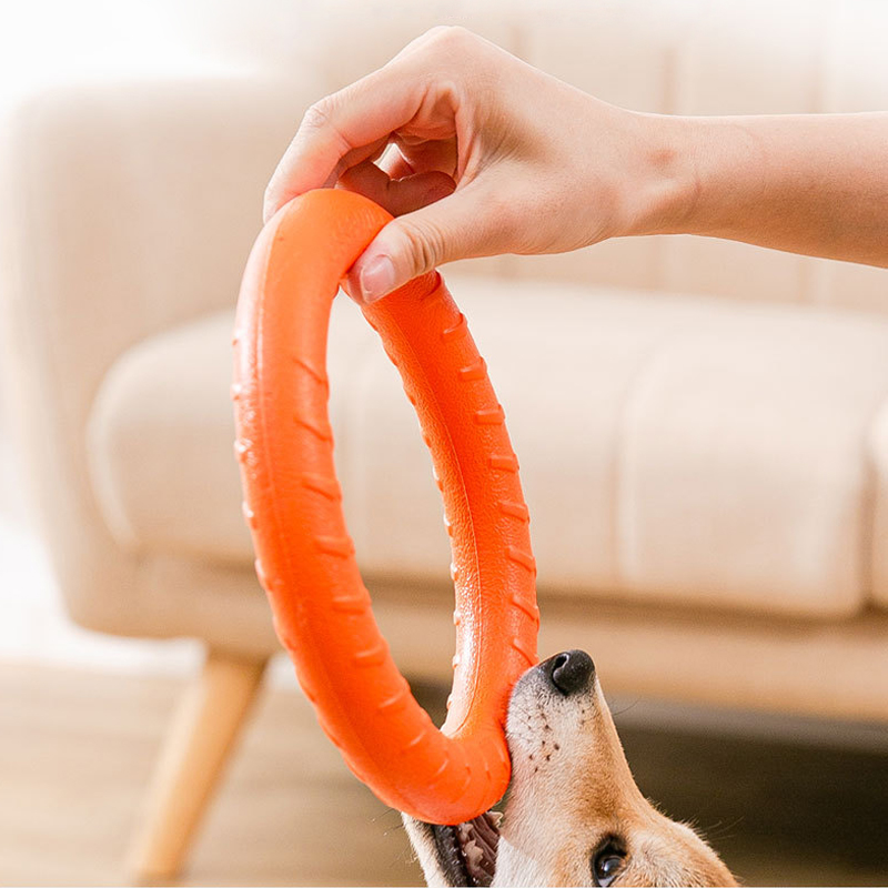 EVA Floating Dog Ring Toy Durable Chew-Resistant Tug &amp; Fetch Ring for Interactive Pet Training, Ideal for Pool, Beach
