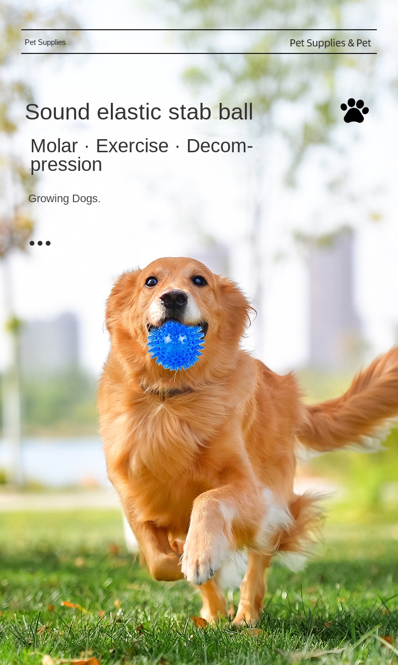 Dog Sound Ball Display 8