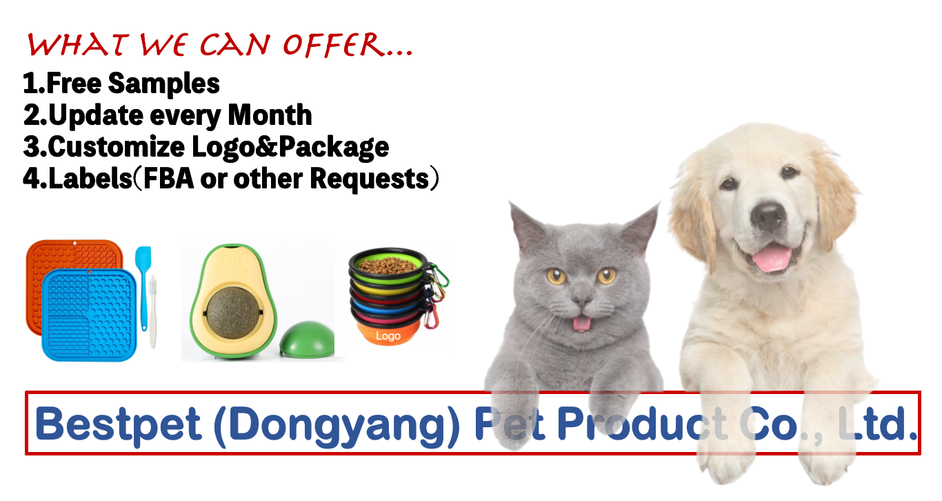 Product Banner Introduction