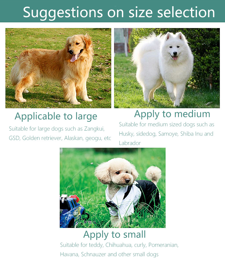 Pet Toy Feature 4