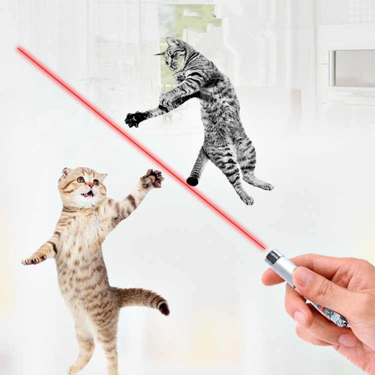 Laser Pointer Teaser Package Display