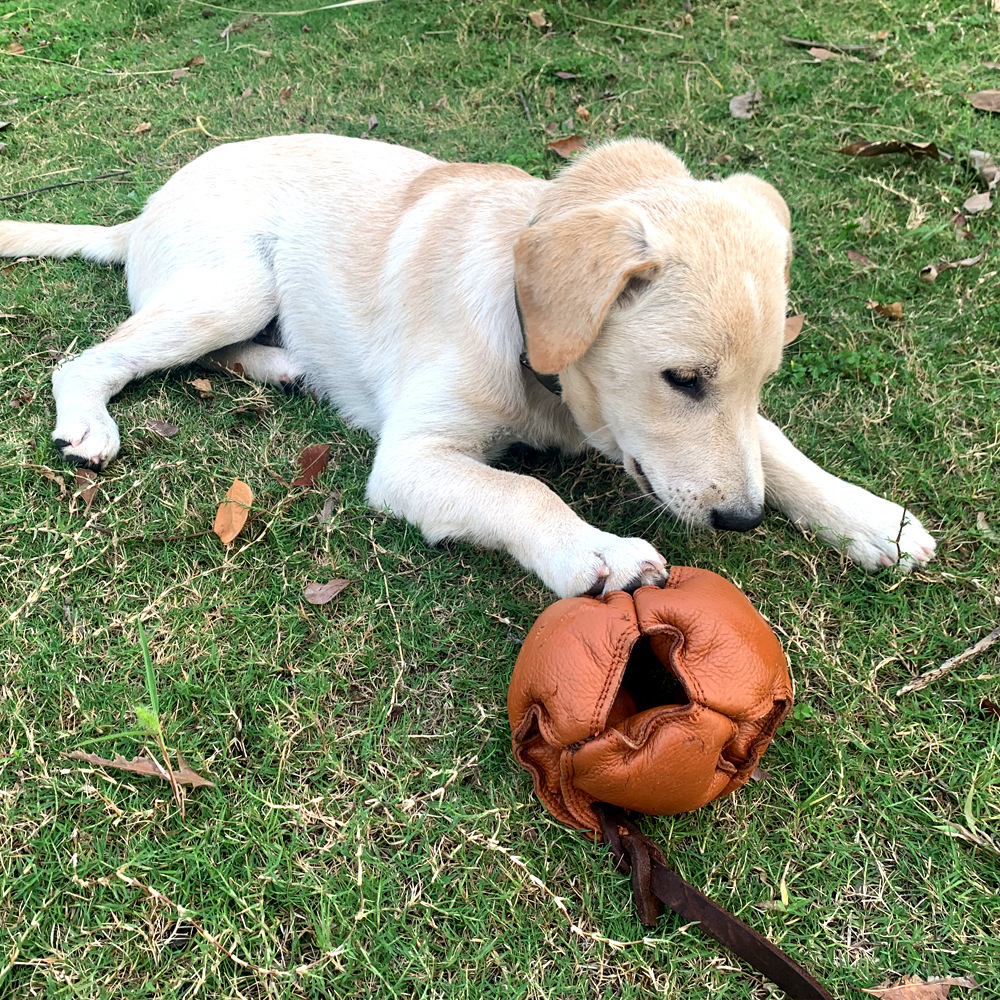 Dog tug toy image 5