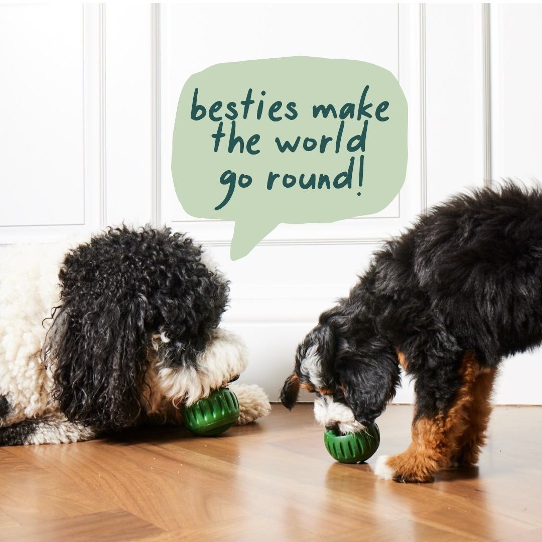 Interactive Eco-friendly Dog Feeding Toy Silicone TPR Slow Feeder Chew Ball for Puppies and Large Dogs