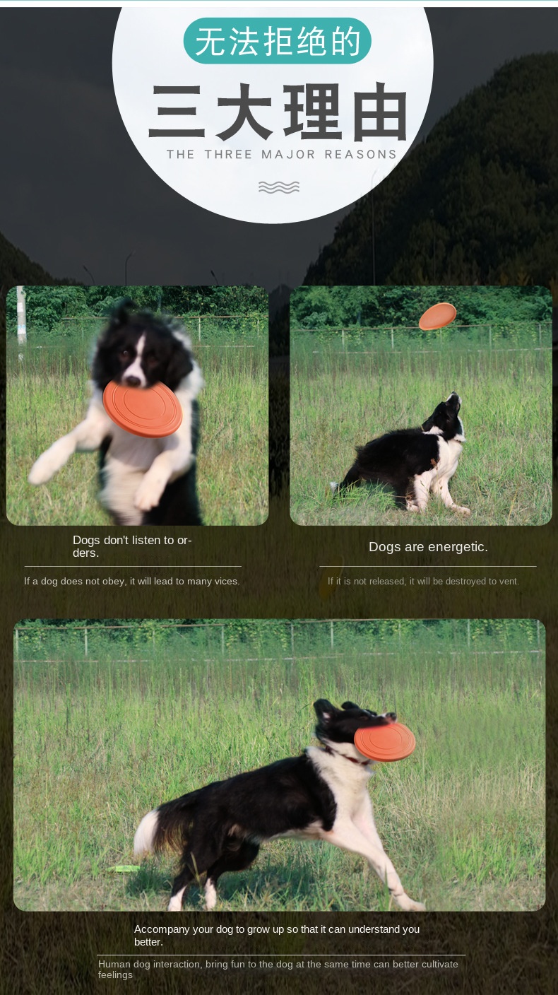 Pet Soft Frisbee 2