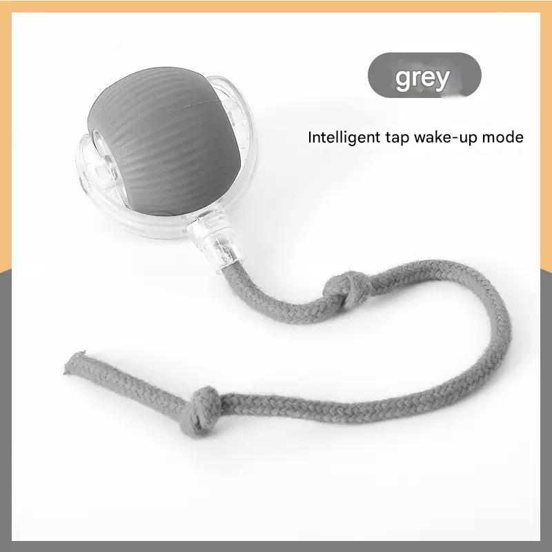 Pet Movement Toy