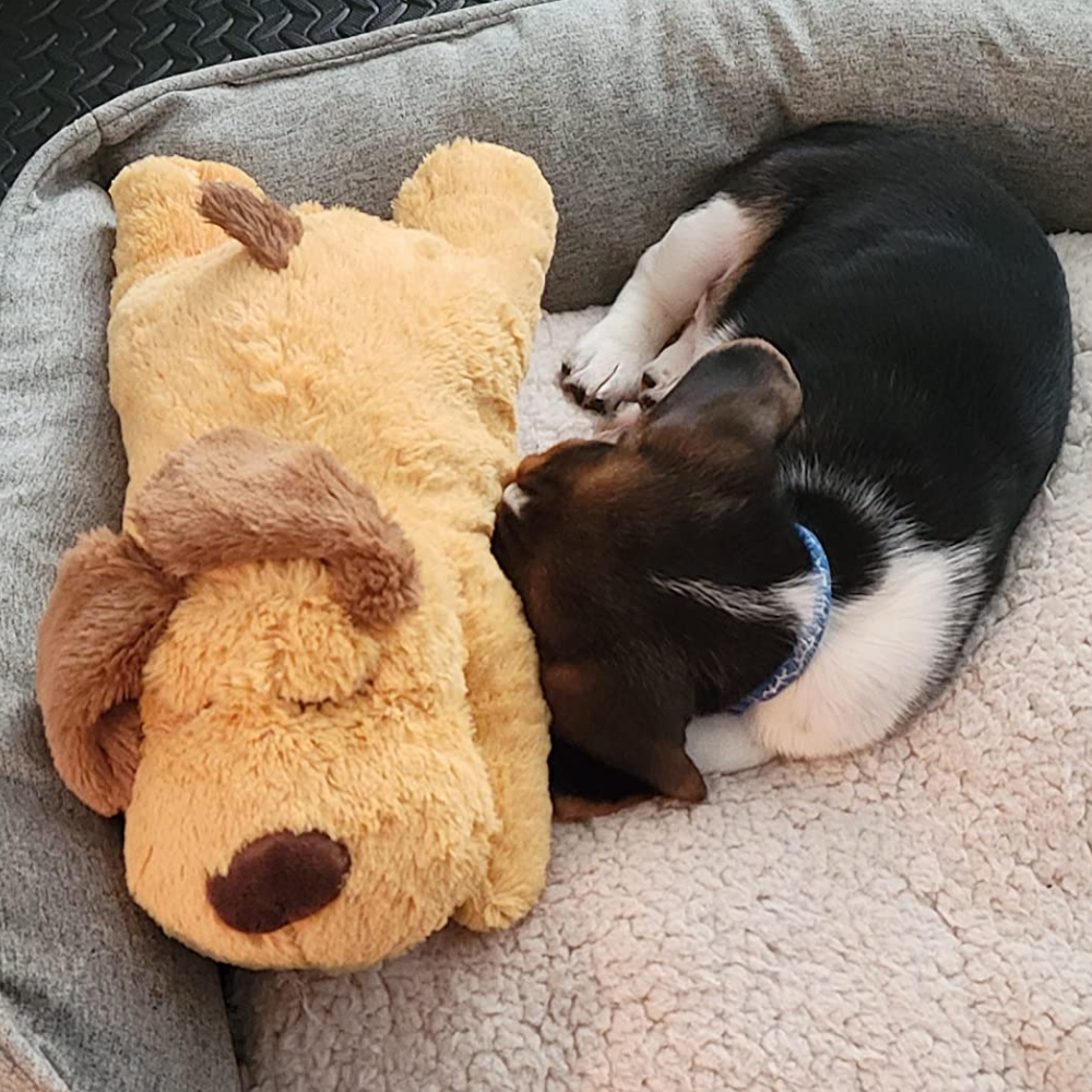 Puppies Separation Anxiety Cartoon Soft Plush Dog Toy with Heartbeat Feature Super Soft Sleeping Buddy &amp; Behavioral Aid