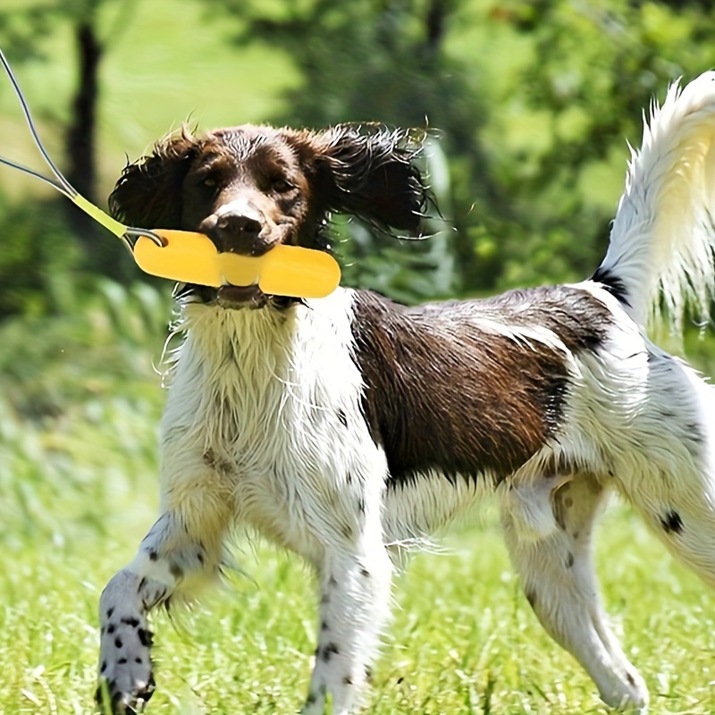 Dog Toy Product Display 3