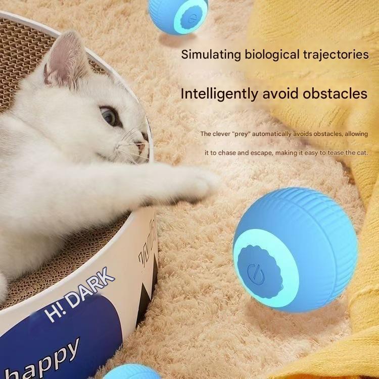 Interactive Cat Toy