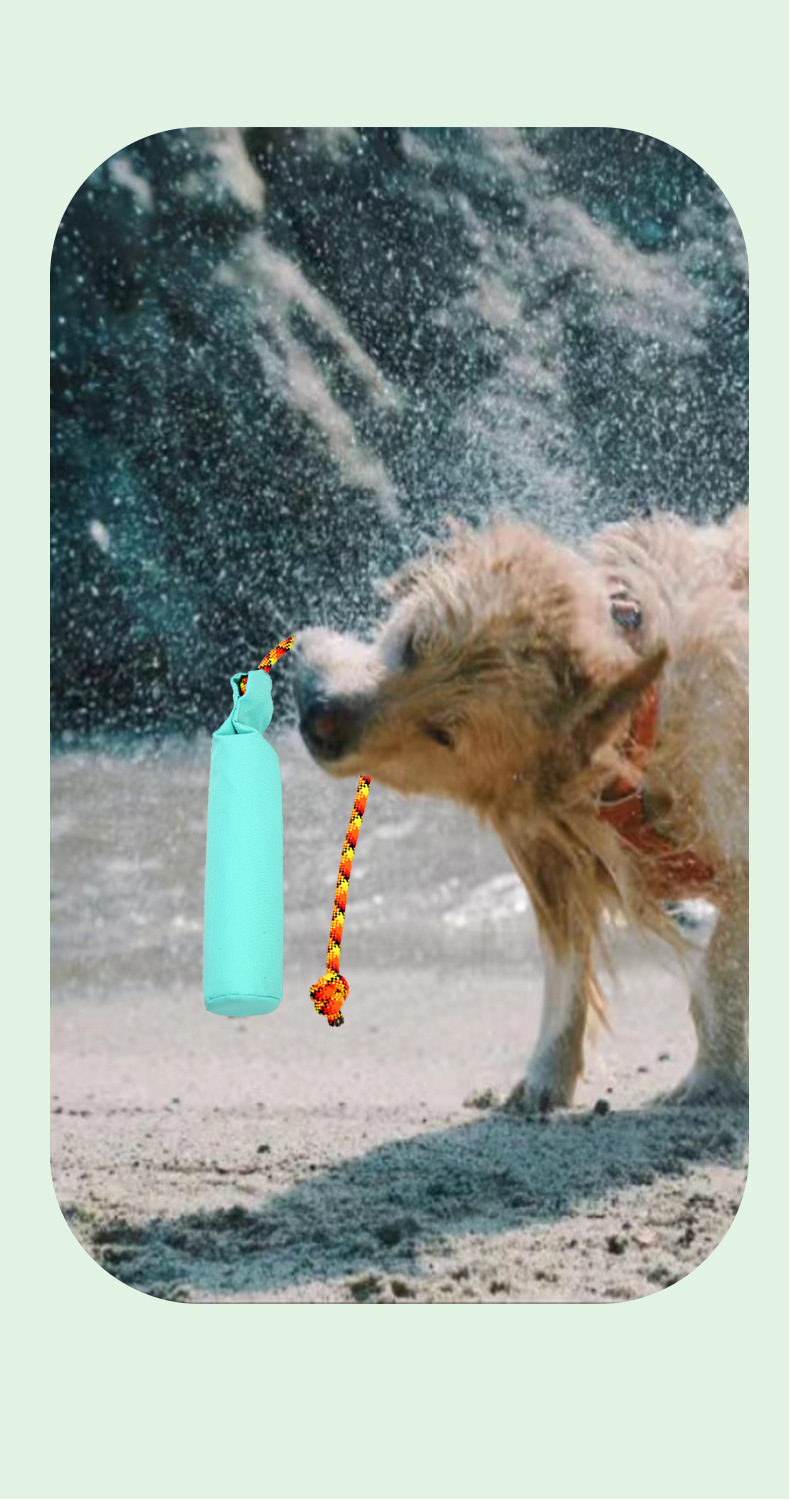 Pet Toy Showcase 4
