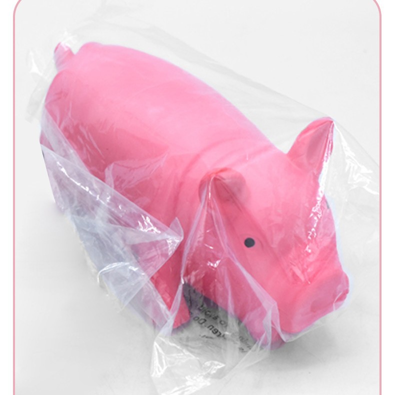 Pet Toy Variant 6