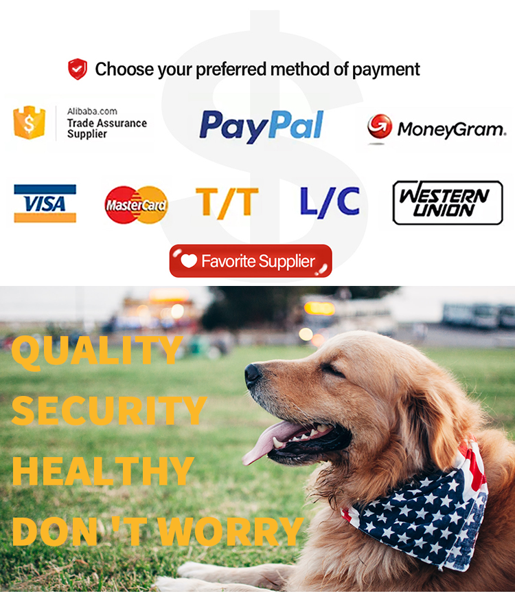 Payment Support Methods