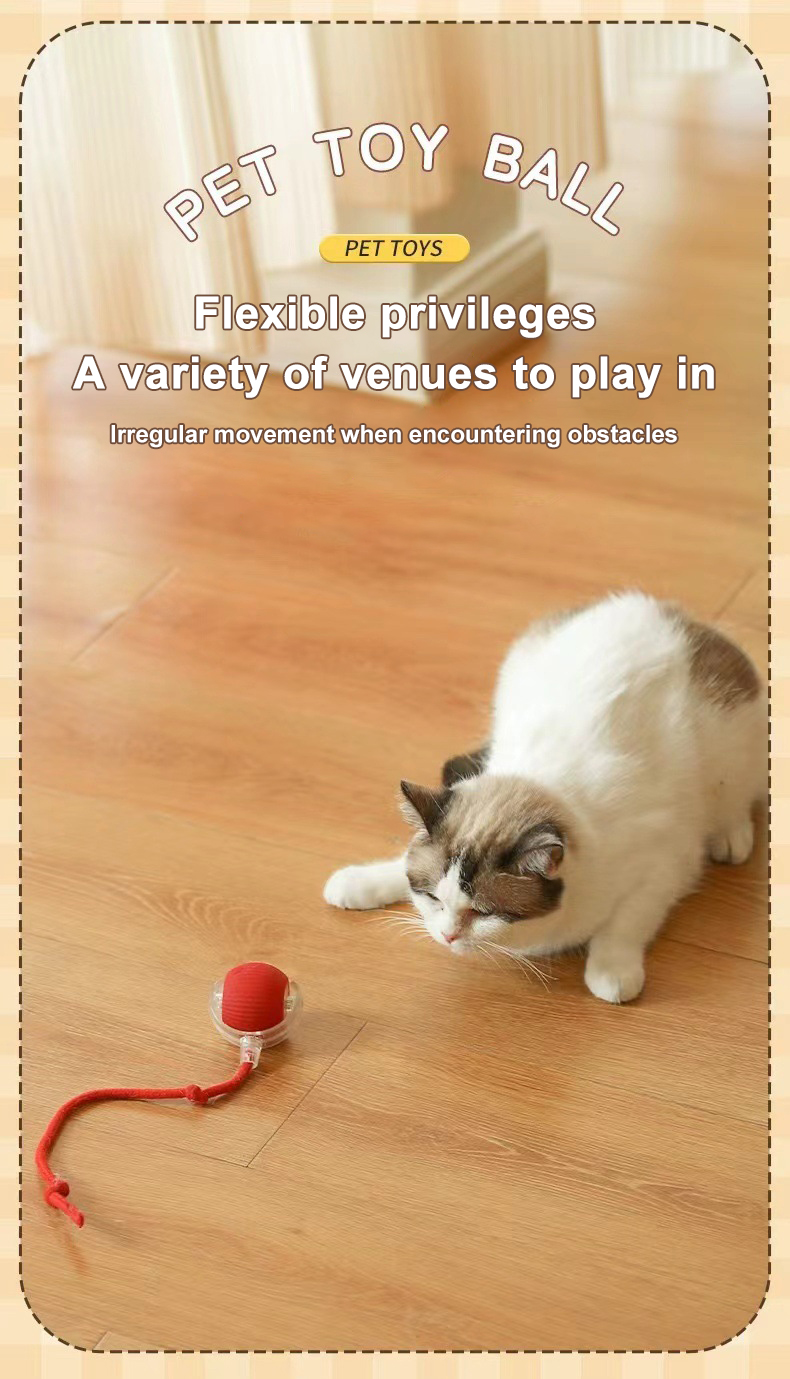 Product Description Image 5