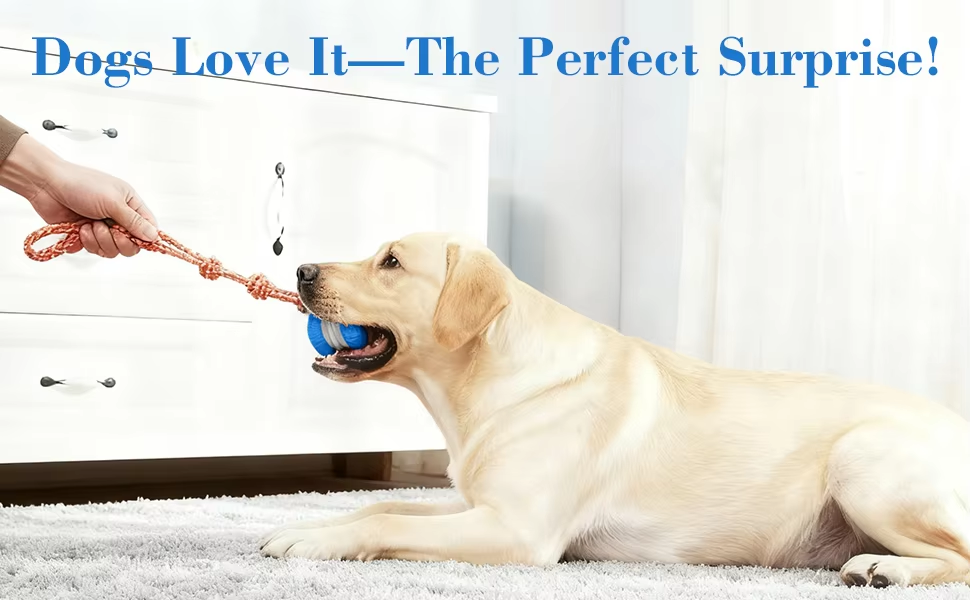 Pet Smart Ball Detail 4