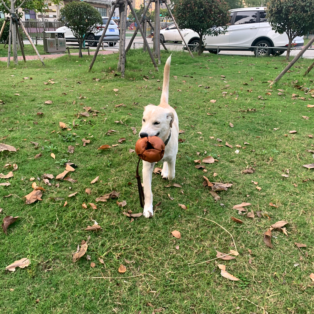 Leather Dog Ball Tug Toy Pet Rope Dog Ball Training Bite Toy Soft Puppy Reward Toy for Fetch Catch Throw