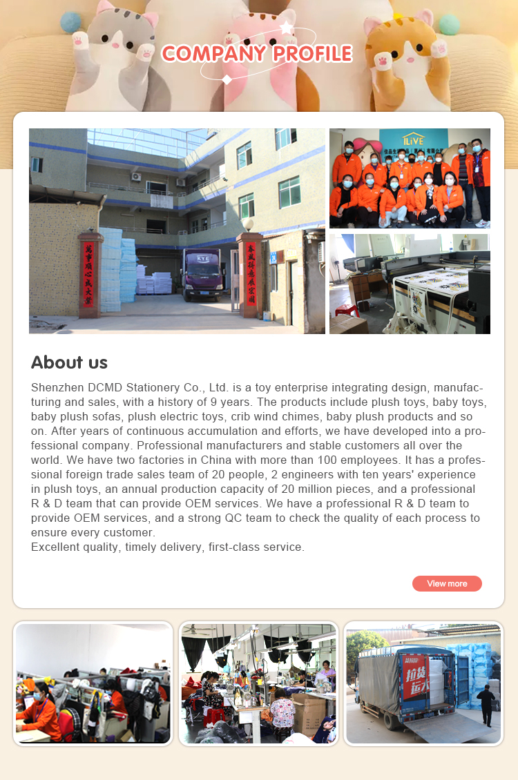 Company Office and Factory Overview