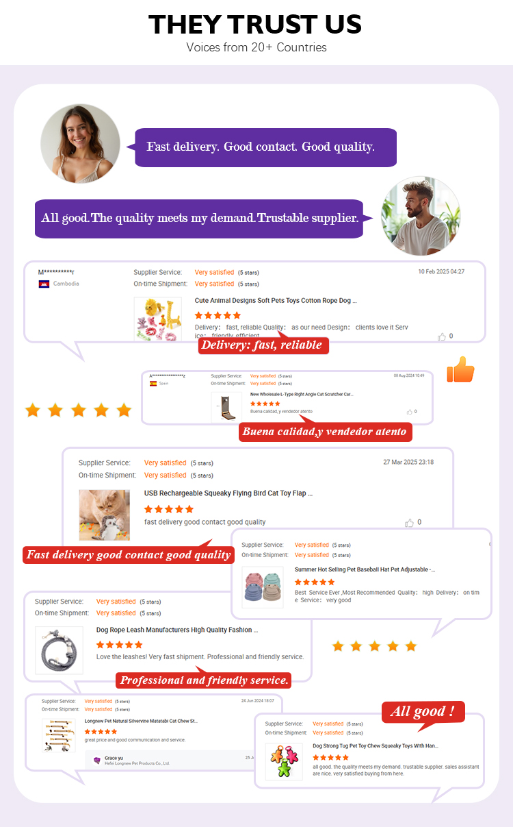 Oxford Bite Toy Specifications