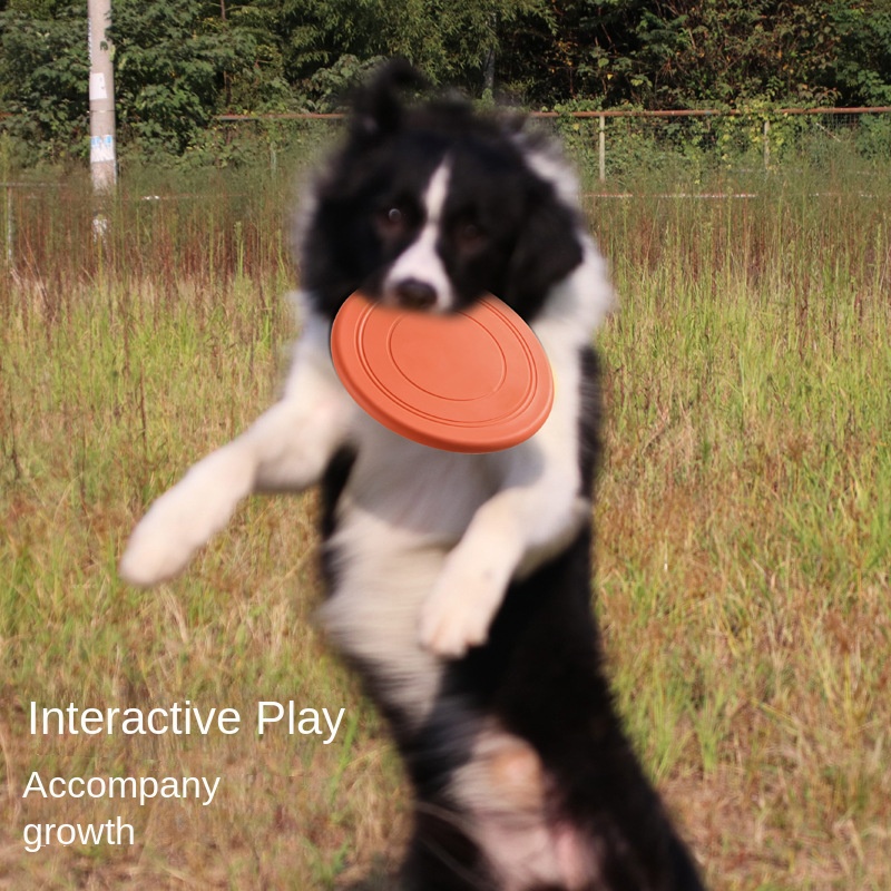 TPR Waterproof Soft Floating Dog Toy Bite-Resistant Training Disc for Interactive Water Play Fetch and Retrieve Outdoor Fun