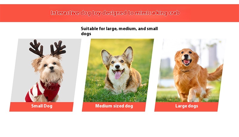 Pet Toy Feature 3