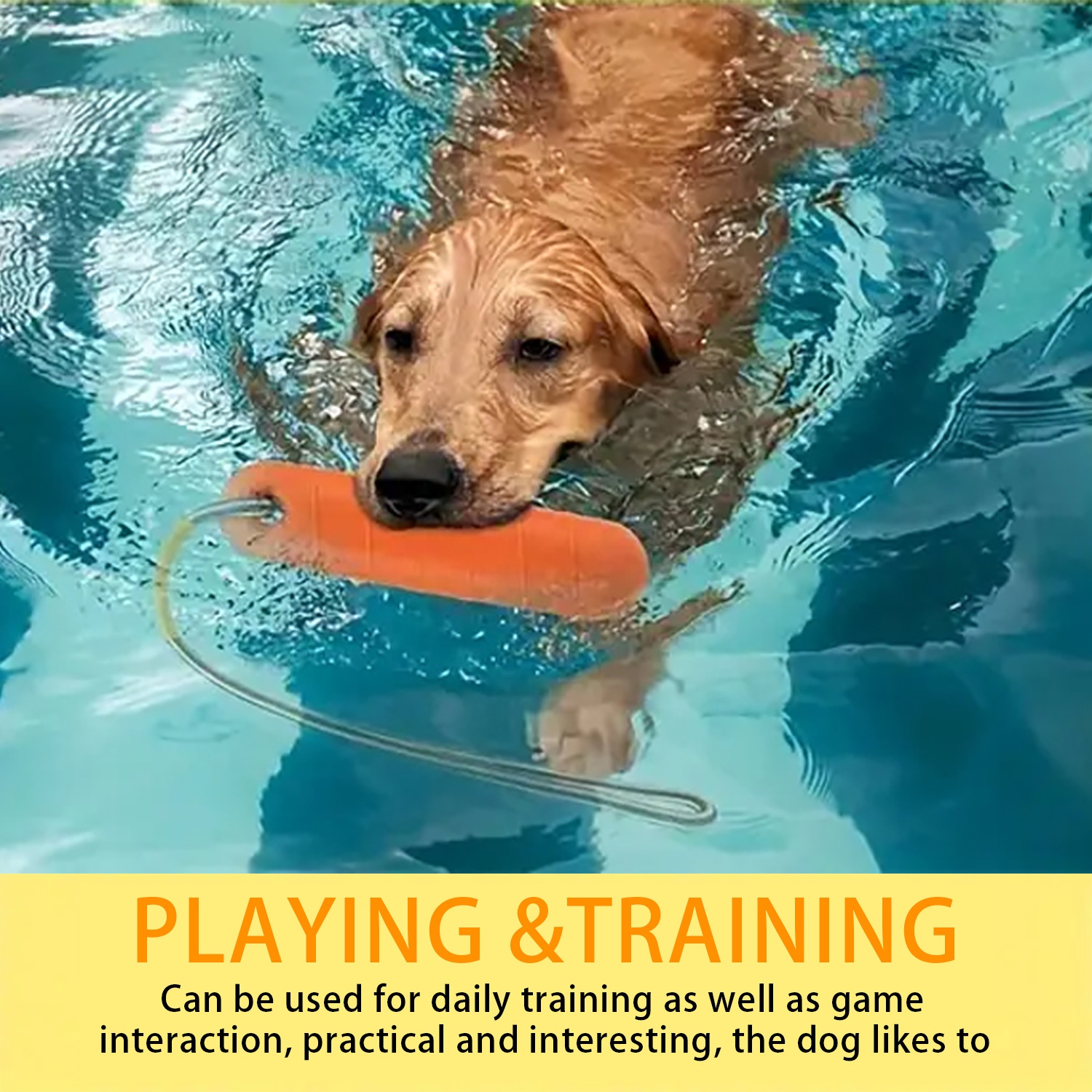 OEM Pet Durable Bite Outdoor Waterproof Beach Water Floating EVA Foam Bumper Interactive Chew Toy with Rope for Dog Sporting