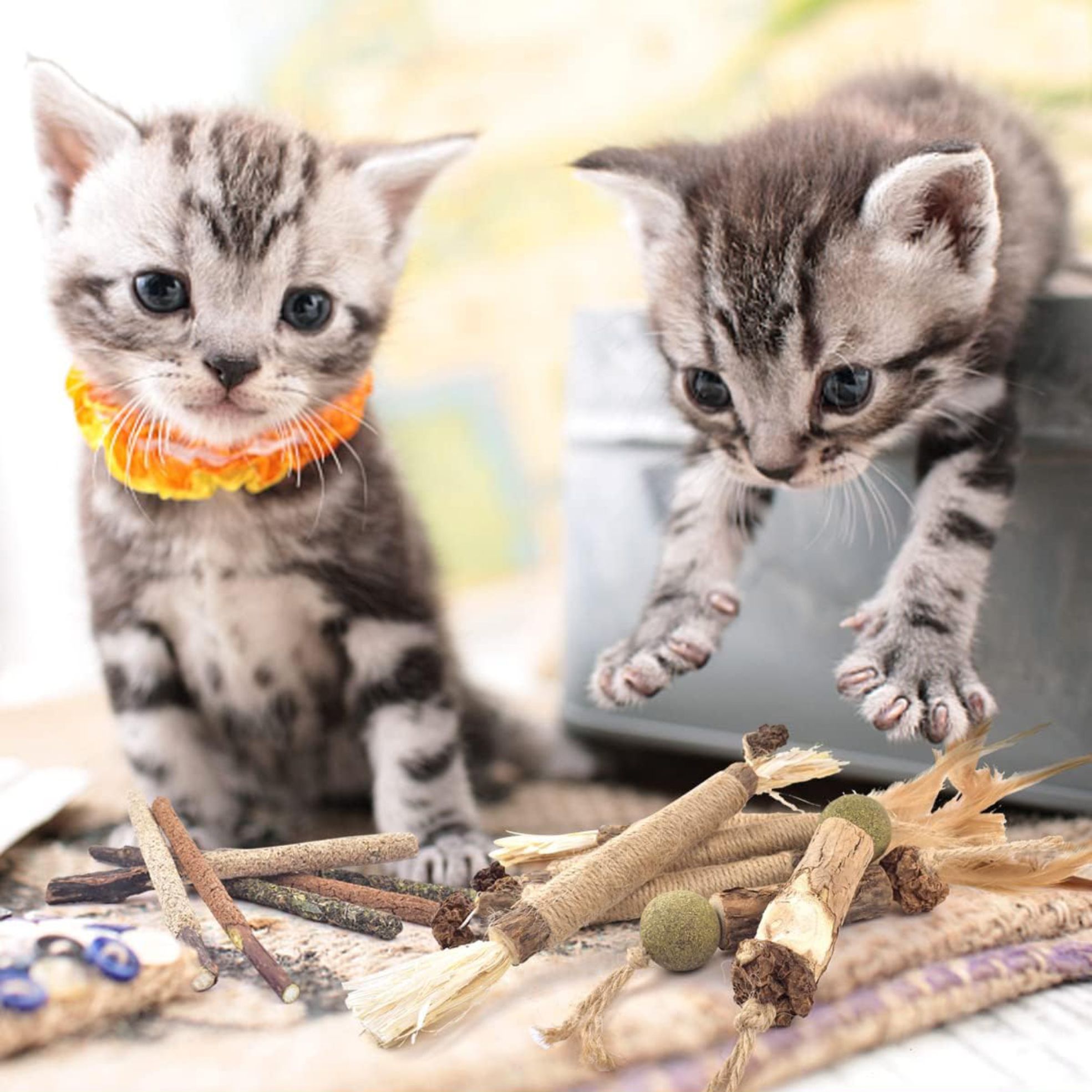 Catnip Rattan Chew Stick Dental Care Mix Kitten Mint Tooth Cleaning Pet Toys Cats Chew Silvervine