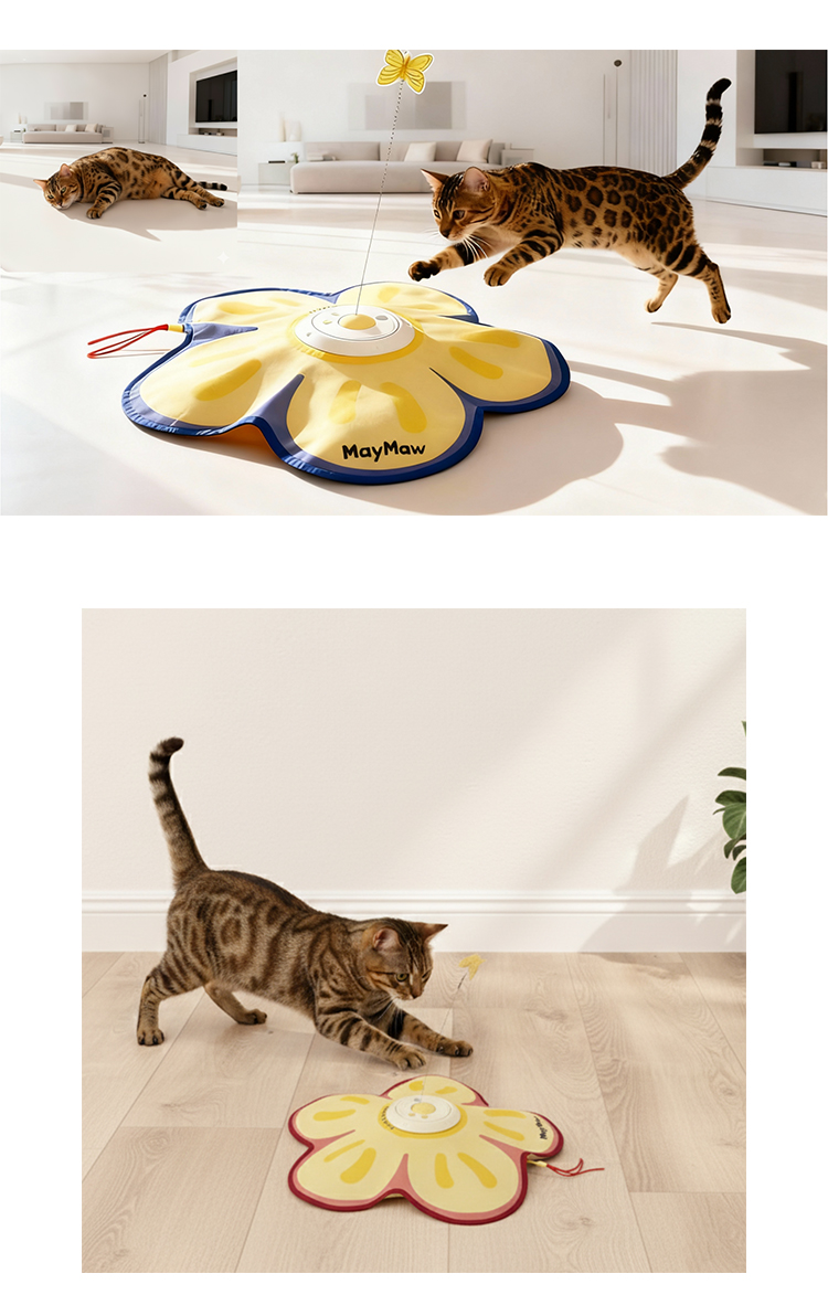 Description Image 9