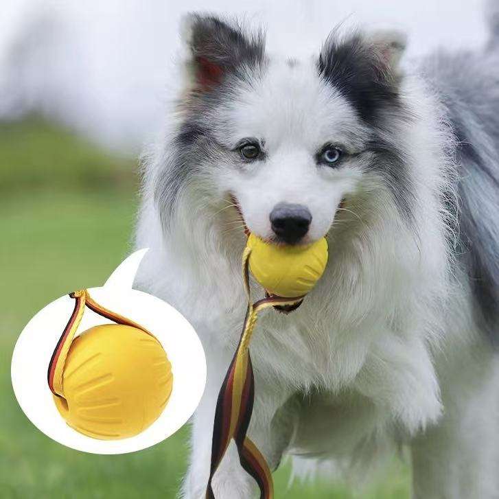 The indestructible rubber that modern dogs squeak with chew toys for chewing instinct training