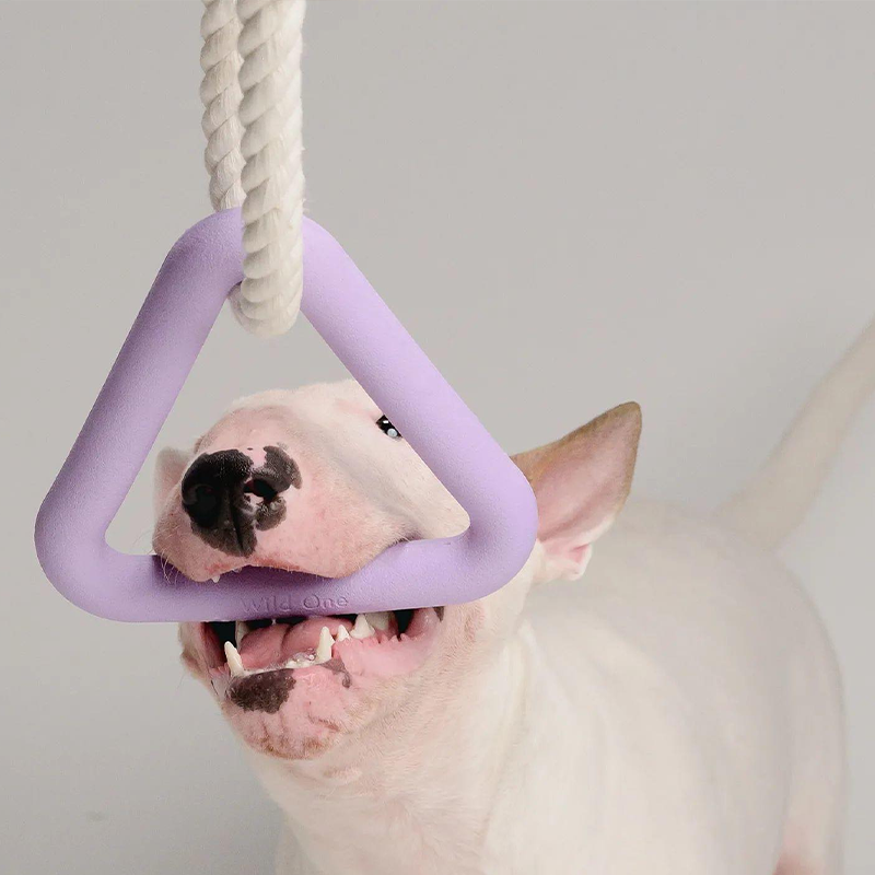 Silicone Dog Tug of War Toy-Squeaky Eco-Friendly Novelty &amp; Fashion Design Biodegradable Rope Agility Training Indoor/Outdoor Use