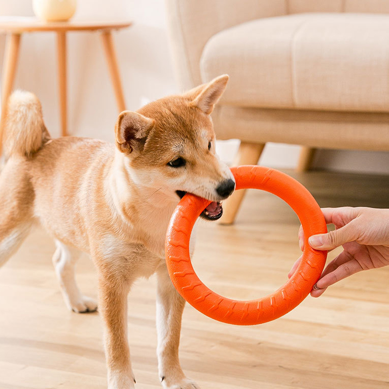 EVA Floating Dog Ring Toy Durable Chew-Resistant Tug &amp; Fetch Ring for Interactive Pet Training, Ideal for Pool, Beach