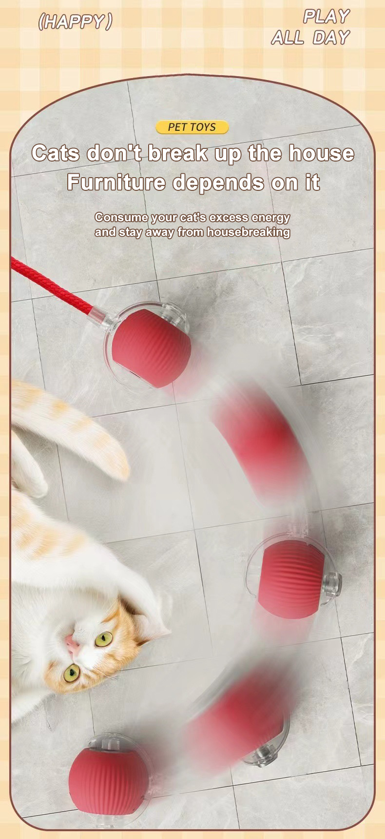 Product Description Image 2