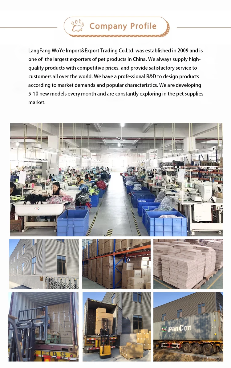 Company certificate or facility