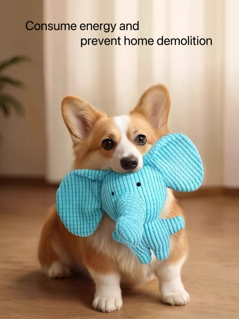 Pet Toy Color 9