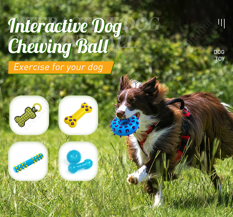 New Style TPR Bite Resistant Chew Dog Toy