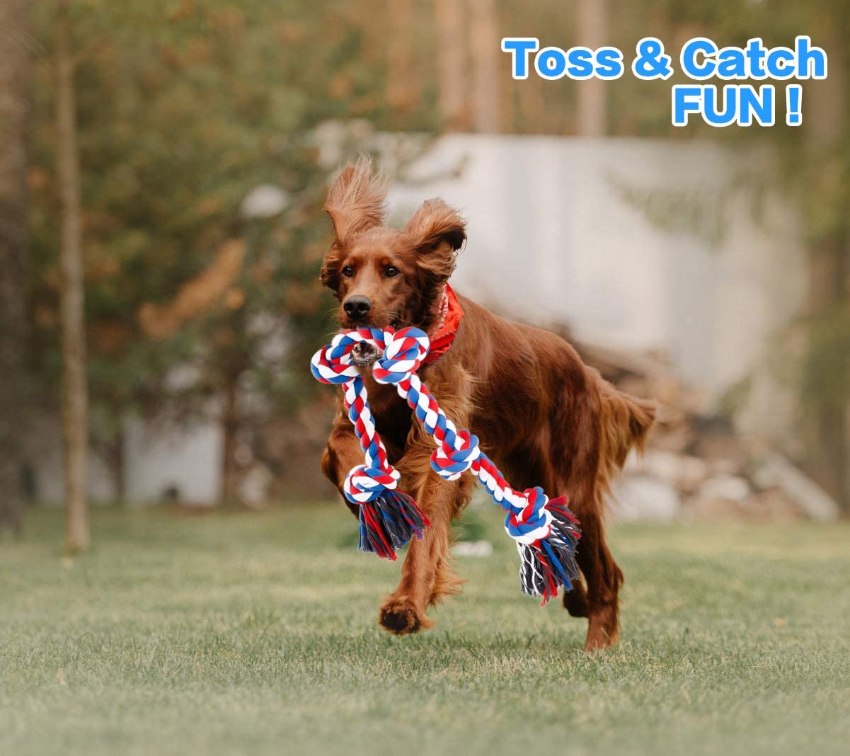 Dog Toy Image 3