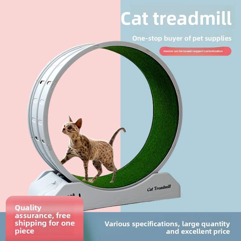 PP Material Cat Exercise Wheel Multifunctional Silent Cat Treadmill with Scratching Pad &amp; Interactive Toy, Custom Available