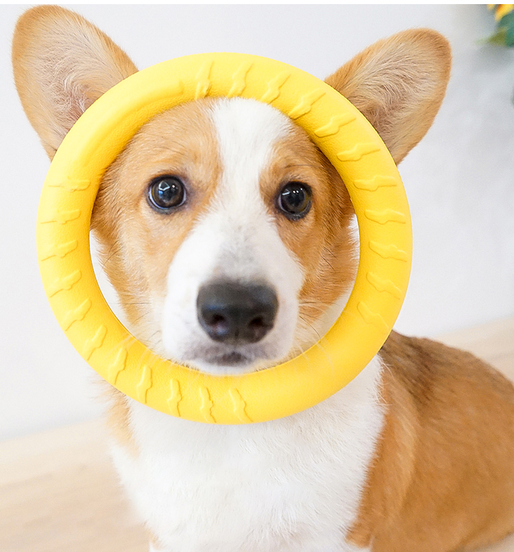 Pet Chew Dog Toy Details