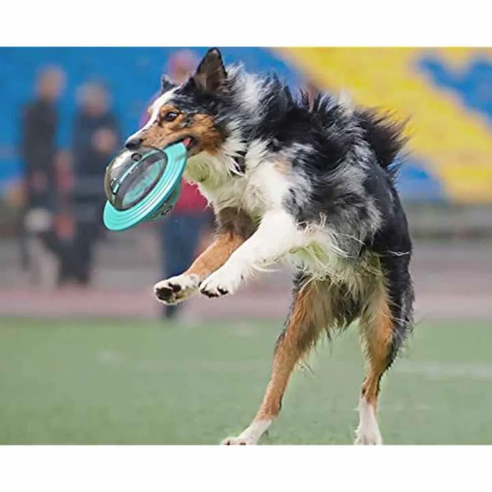 Eco-Friendly Dog Puzzle Pet Slow Feeder Interactive Dog Chew Toys Supplies