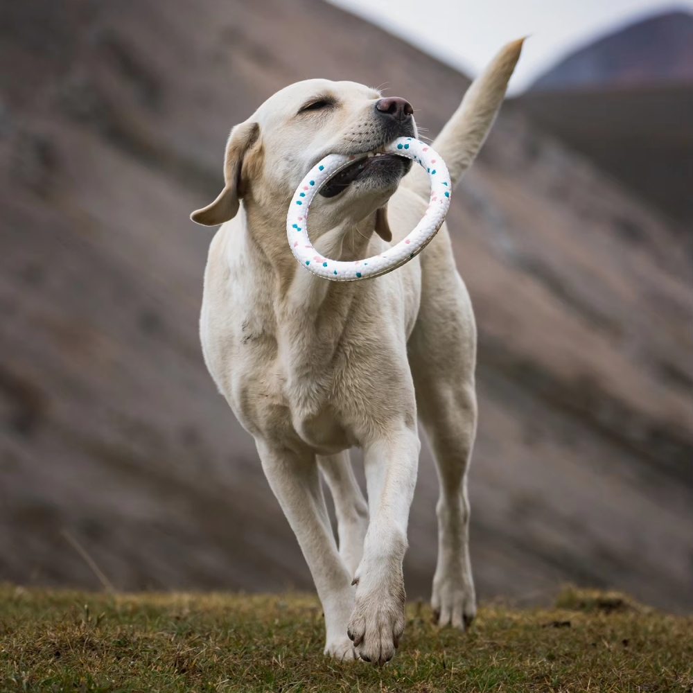 Durable Dog Chew Toy Details