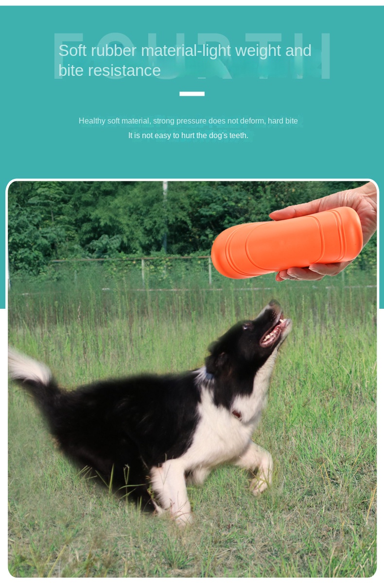 Pet Soft Frisbee 6