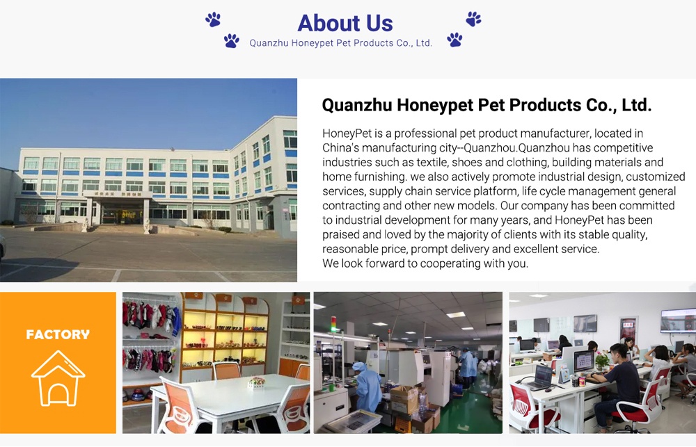 About Us Presentation