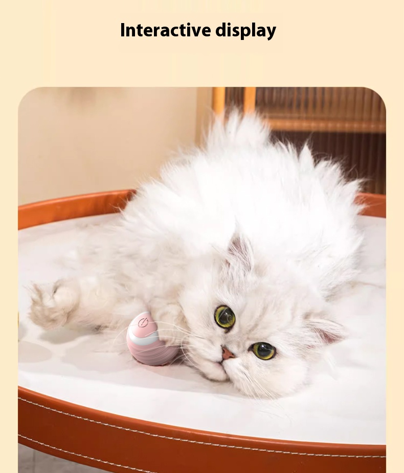 Electric Pet Rolling Ball Features 8