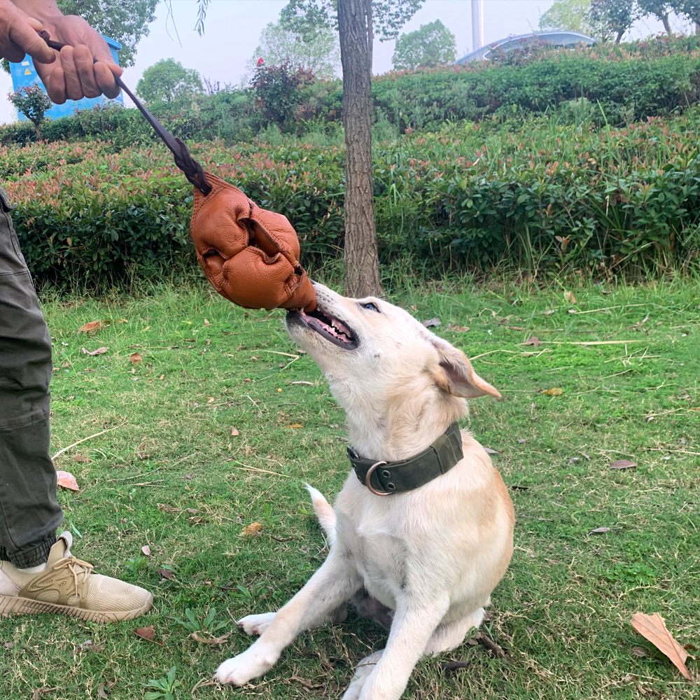 Dog tug toy image 3