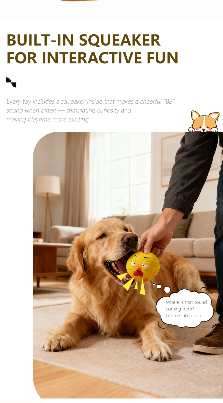 Pet Supply Showcase 6