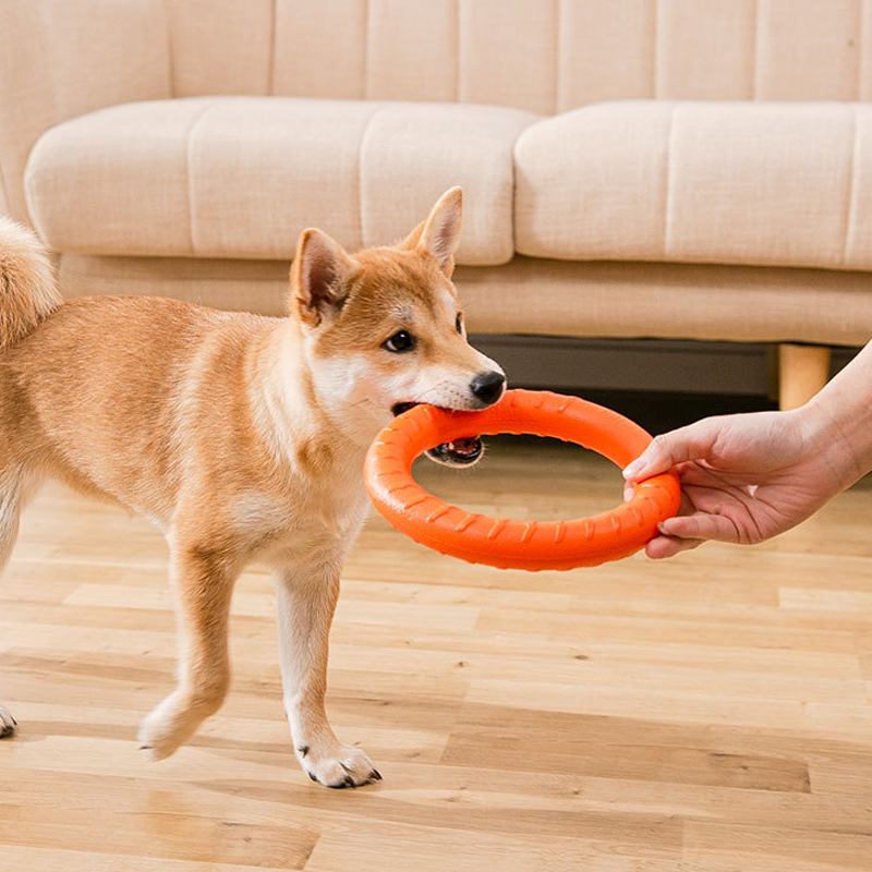 EVA Floating Dog Ring Toy Durable Chew-Resistant Tug &amp; Fetch Ring for Interactive Pet Training, Ideal for Pool, Beach