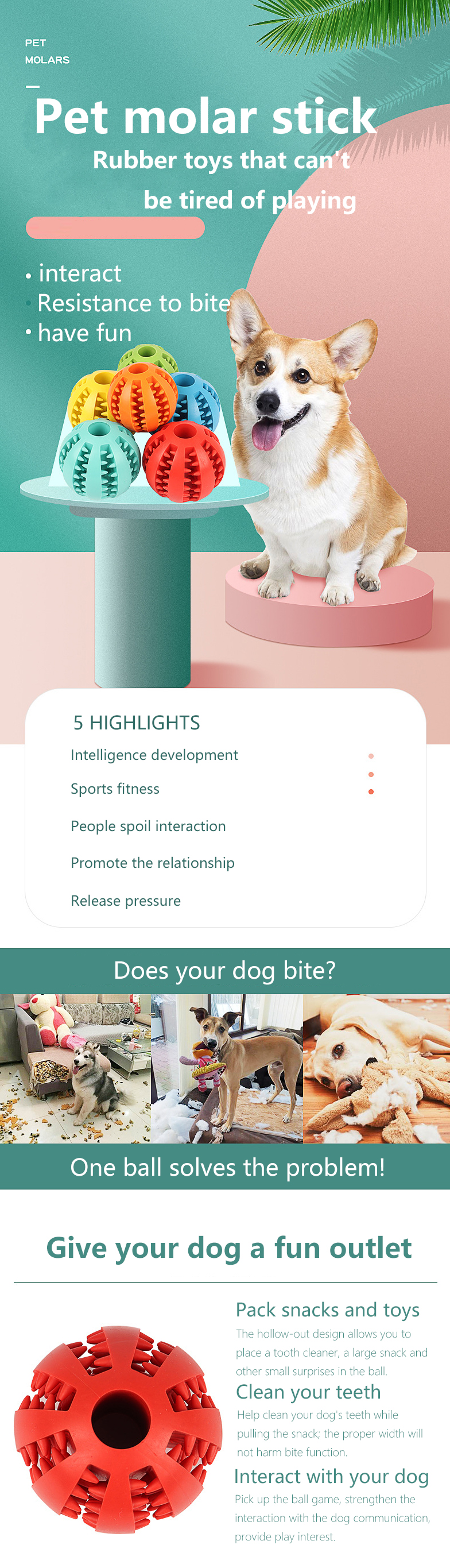 Pet Toy Feature 2