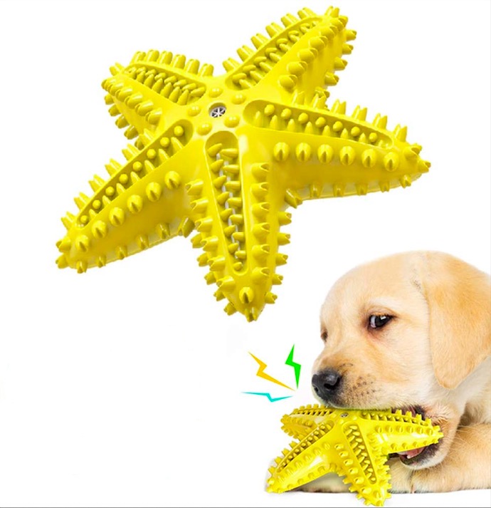 Custom Color Interactive TPR Sounding Tough Chewer Eco-Friendly Starfish Pet Chew Toys Squeaky Dog Toy with Toothbrush