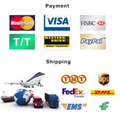 Amazon Shipping Icon